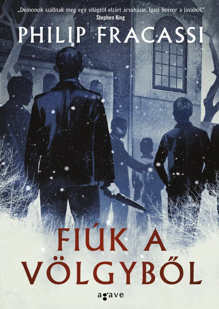 Fiúk a völgyből borító