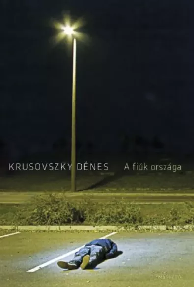 A fiúk országa borító