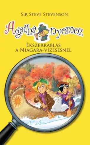 Ékszerrablás a Niagara-vízesésnél borító