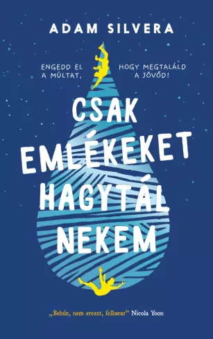 Csak emlékeket hagytál nekem borító