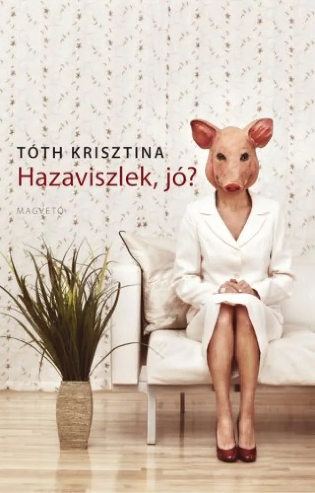 Hazaviszlek, jó? borító