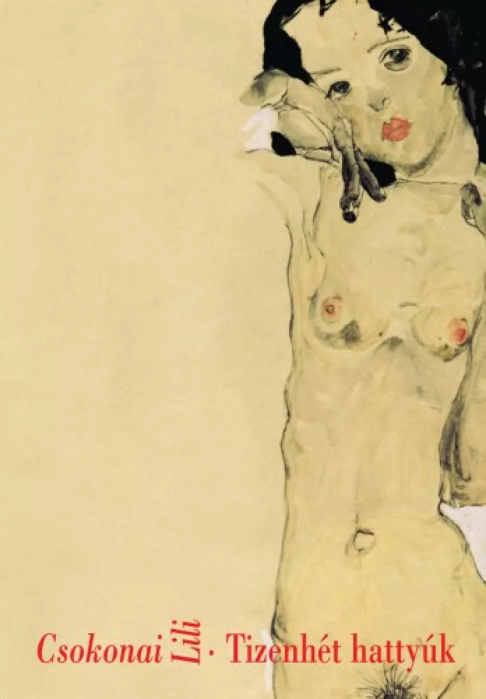 Tizenhét hattyúk borító