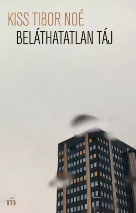 Beláthatatlan táj borító