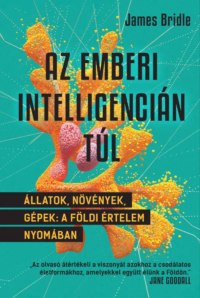 Az emberi intelligencián túl borító