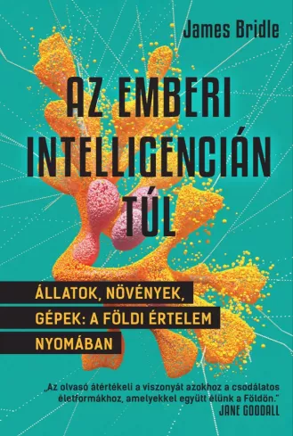 Az emberi intelligencián túl borító
