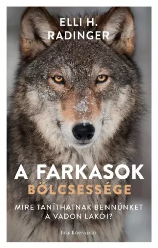 A farkasok bölcsessége 
