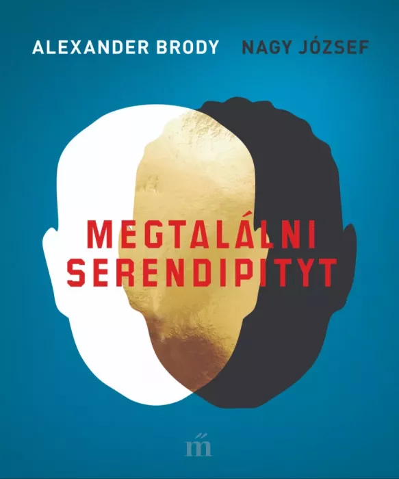 Megtalálni Serendipityt borító