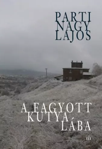 A fagyott kutya lába borító