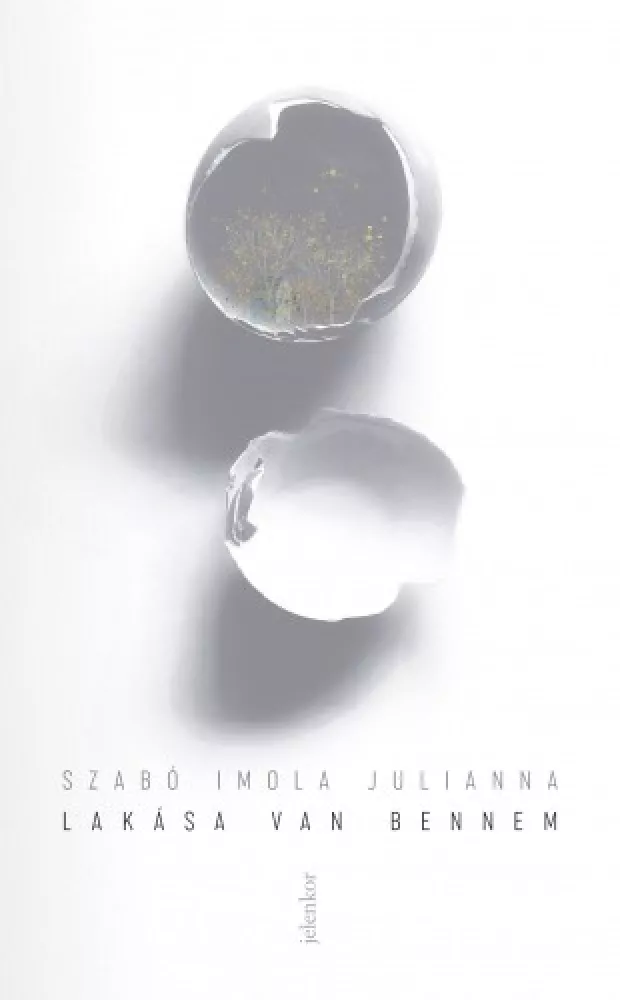 Lakása van bennem borító