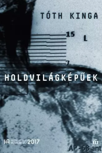 Holdvilágképűek