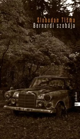 Bernardi szobája borító