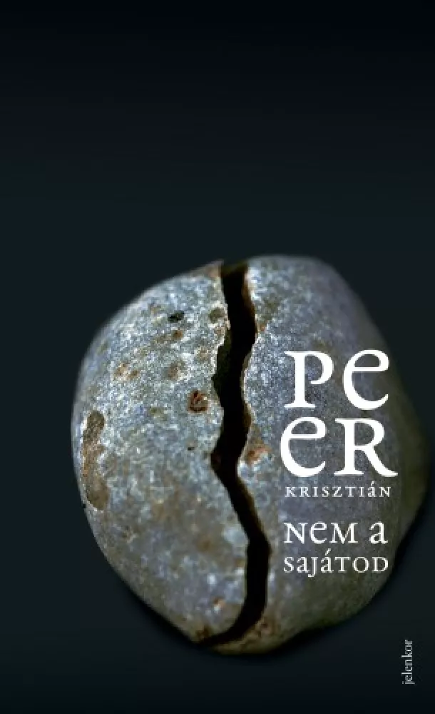Nem a sajátod borító