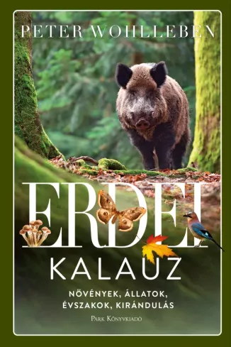 Erdei kalauz borító