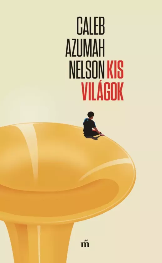 Kis világok borító