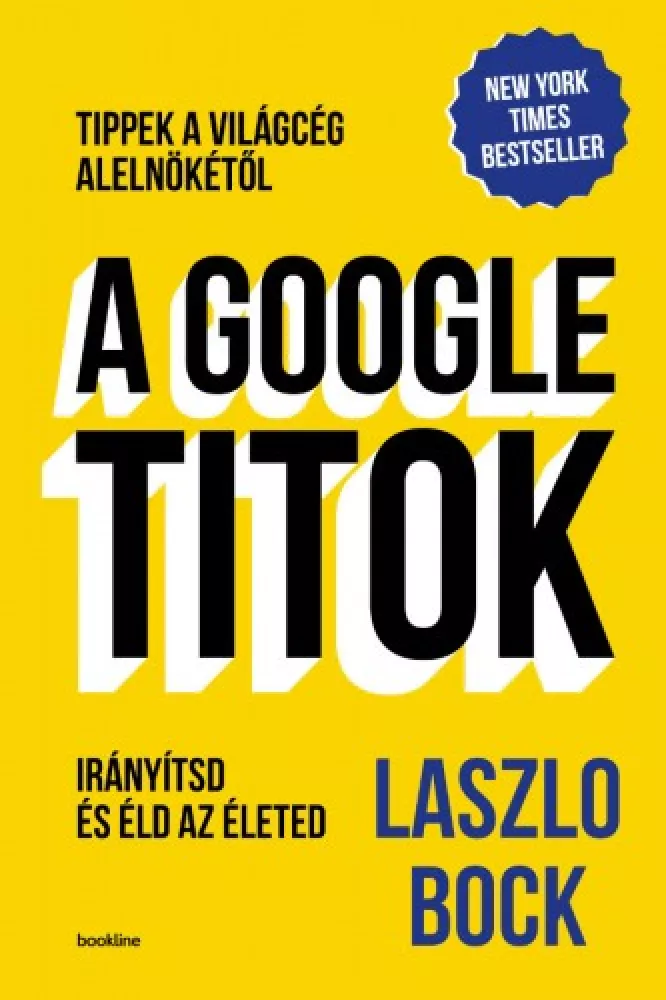 A Google-titok borító