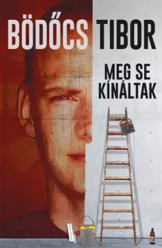 Meg se kínáltak borító