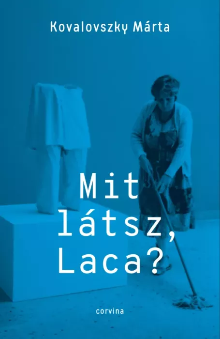 Mit látsz, Laca?  borító