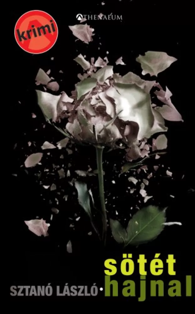 Sötét hajnal borító