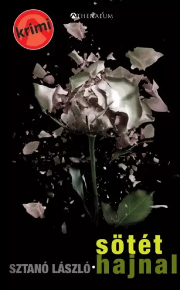 Sötét hajnal borító