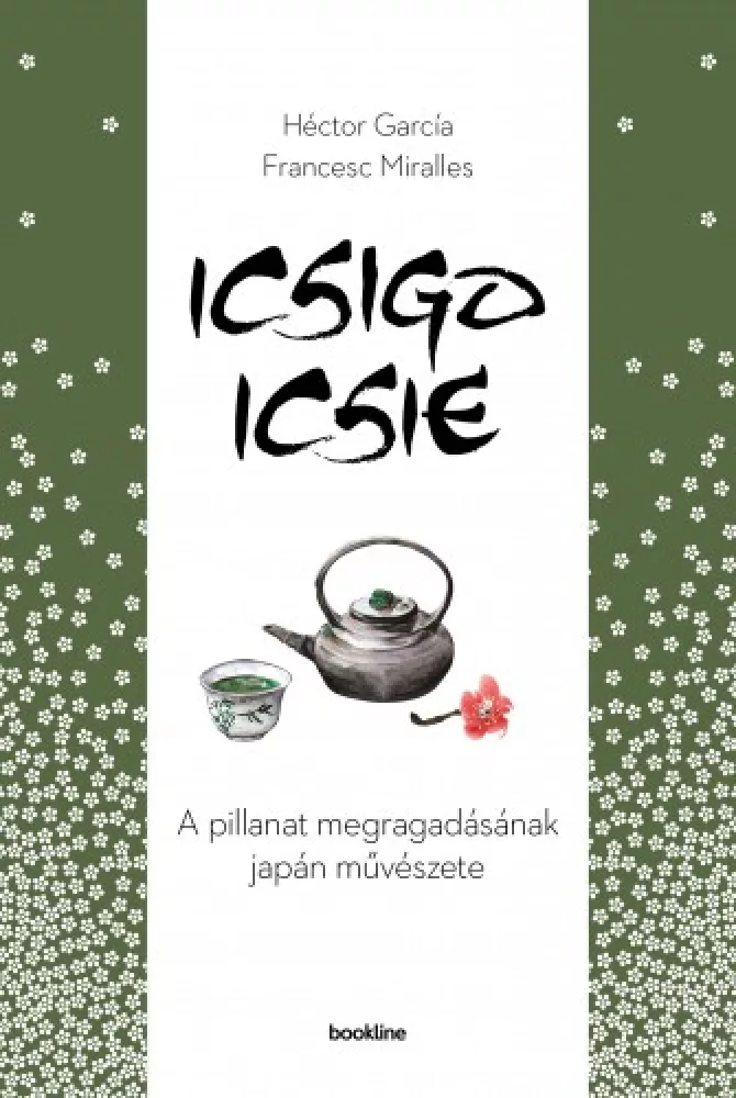 Icsigo-icsie borító