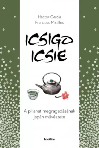 Icsigo-icsie borító