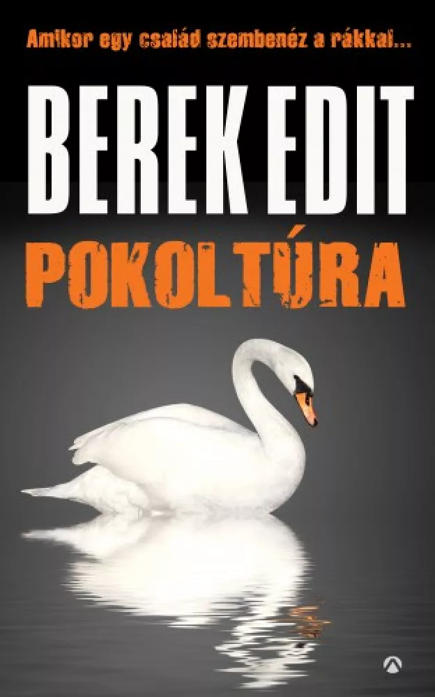Pokoltúra  borító