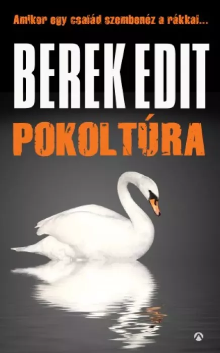 Pokoltúra  borító
