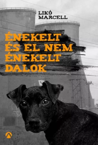 Énekelt és el nem énekelt dalok borító