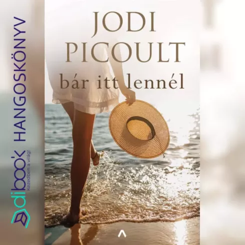 Bár itt lennél borító