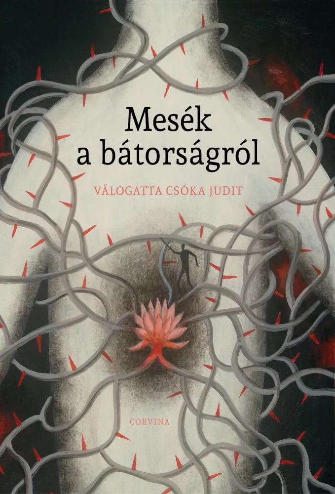 Mesék a bátorságról borító