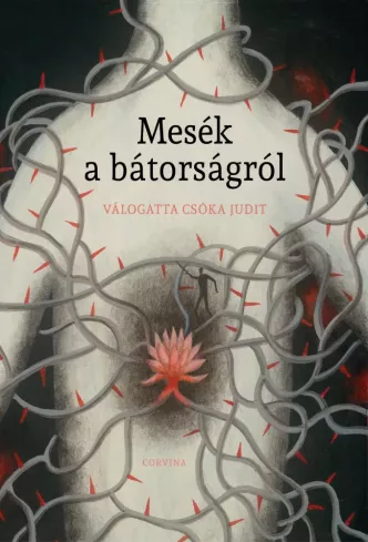 Mesék a bátorságról borító