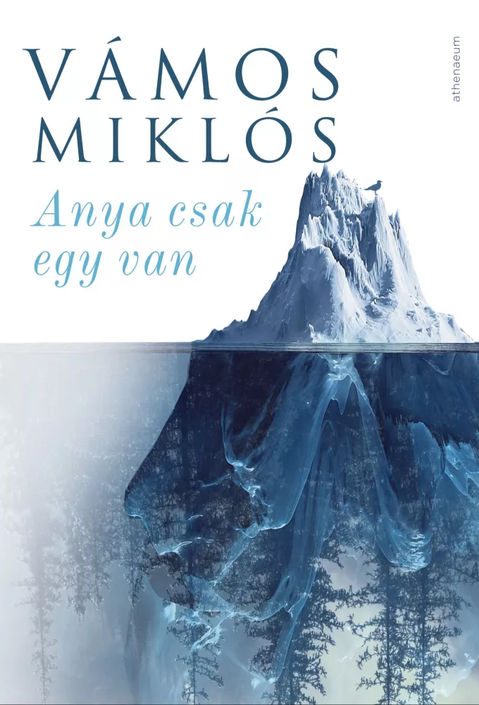 Anya csak egy van borító