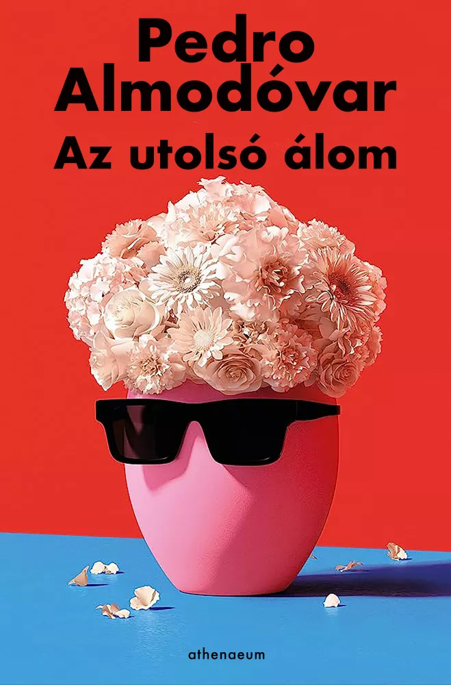 Az utolsó álom borító