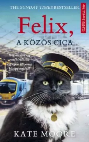 Felix, a közös cica borító