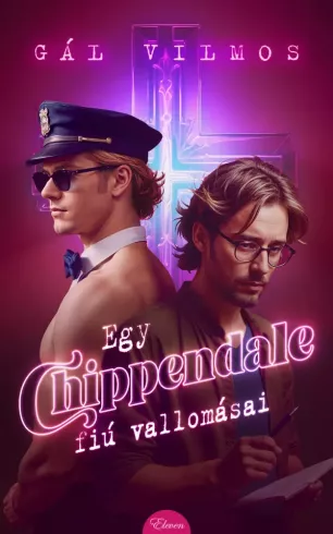 Egy Chippendale-fiú vallomásai borító