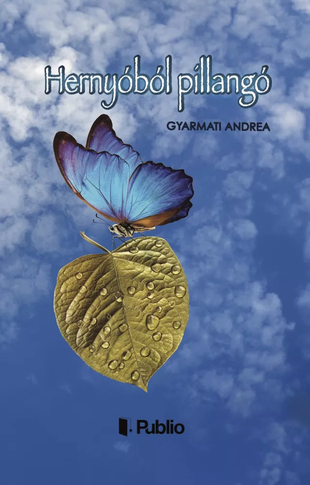 Hernyóból pillangó borító