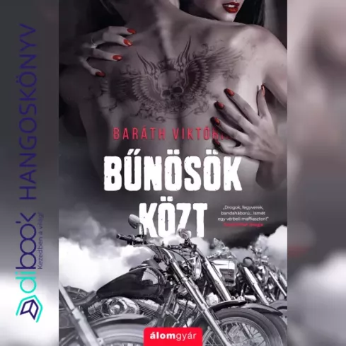 Bűnösök közt borító