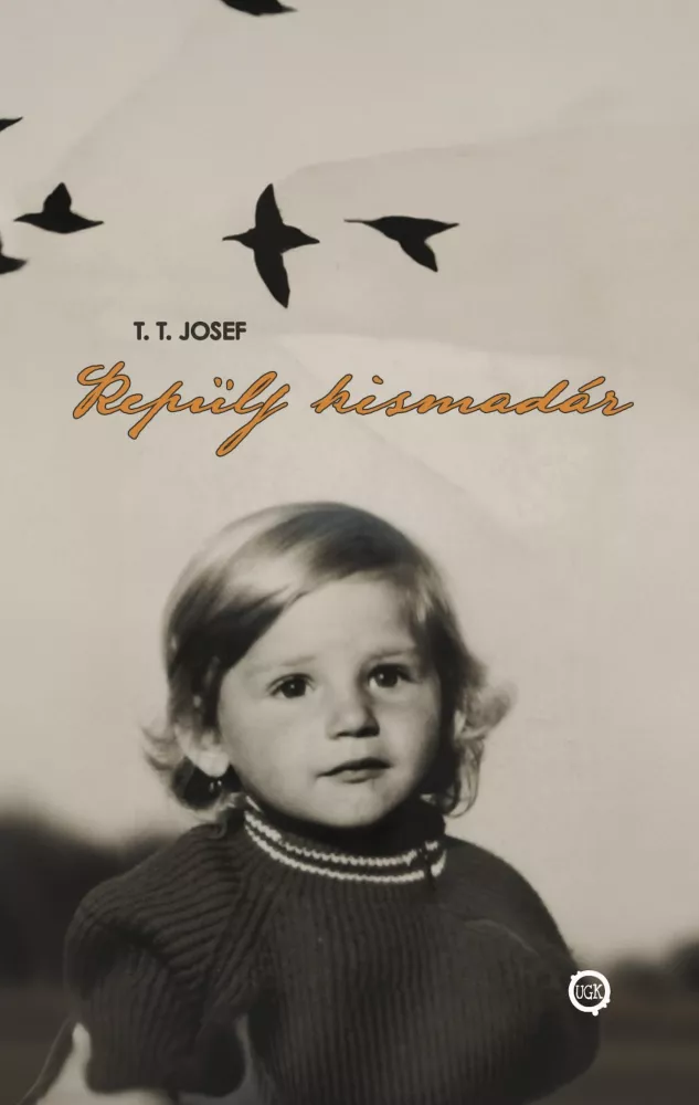 Repülj kismadár borító