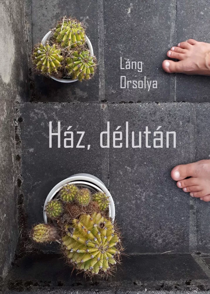 Ház, délután borító