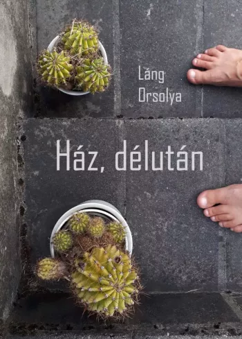 Ház, délután borító