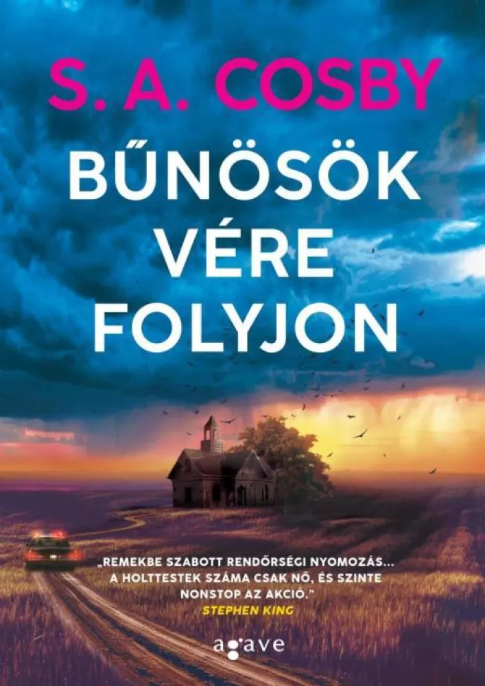 Bűnösök vére folyjon borító