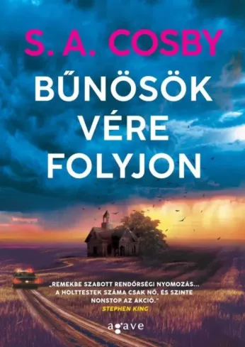Bűnösök vére folyjon borító