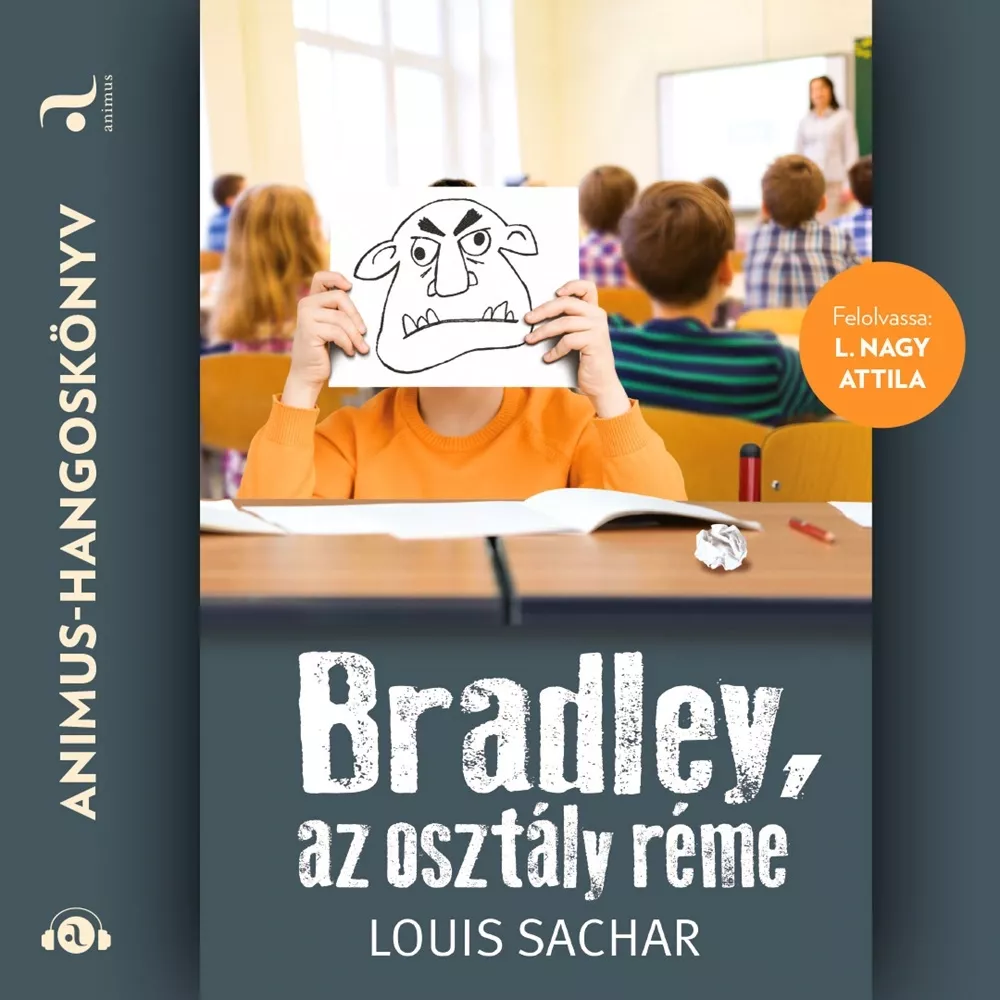 Bradley, az osztály réme borító