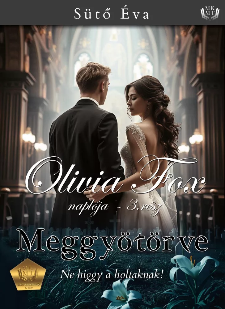 Meggyötörve borító