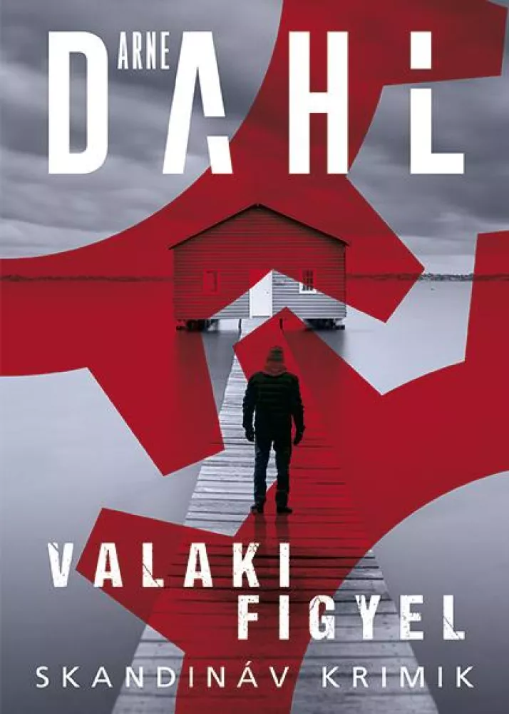 Valaki figyel borító