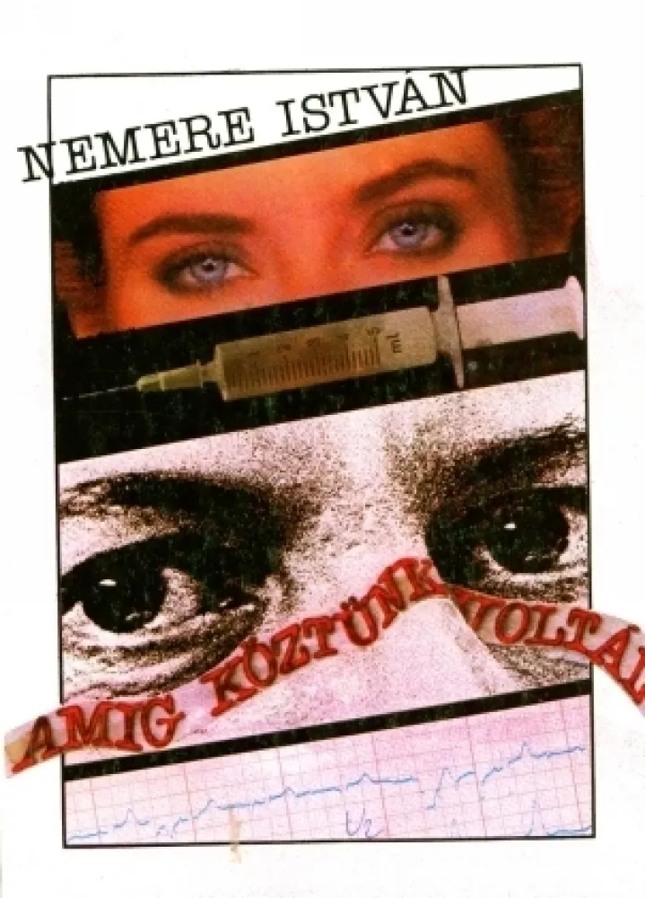 Amíg köztünk voltál borító