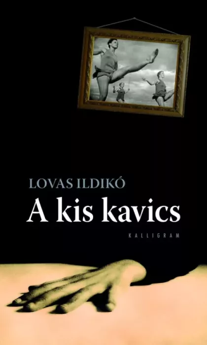 A kis kavics borító