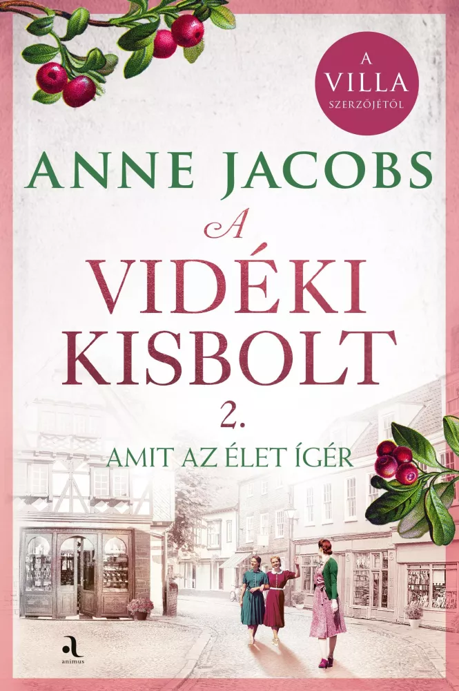 A vidéki kisbolt 2. borító