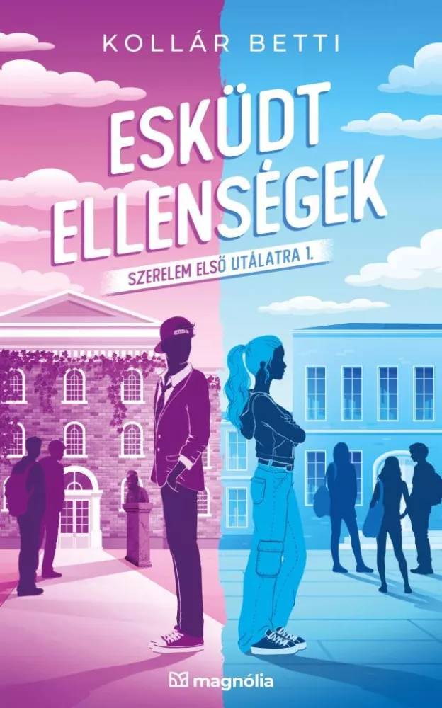 Esküdt ellenségek borító