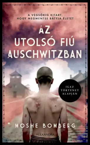 Az utolsó fiú Auschwitzban borító